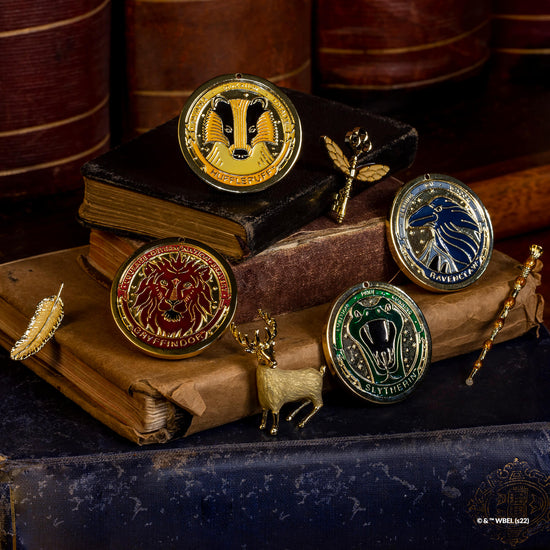 Harry Potter Trinket Collection Pack