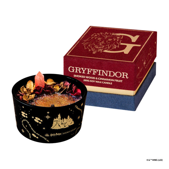 Harry Potter Gryffindor Collection Pack