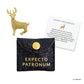 Harry Potter Trinket Collection Pack