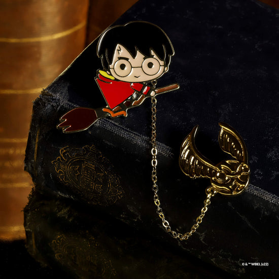 Harry Potter Enamel Pin Harry & Golden Snitch