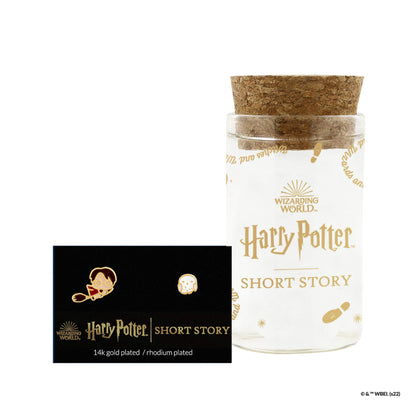 Harry Potter Earring Epoxy Harry & Hedwig